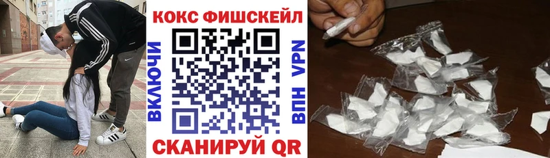 Cocaine FishScale  цены   Вытегра 